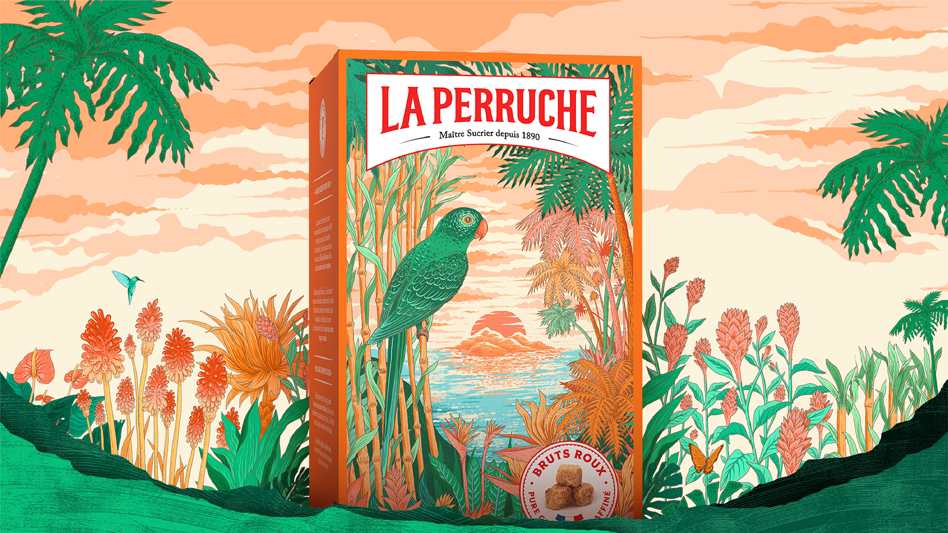 La Perruche Packaging Morgan Gomez
